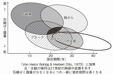 主な石綿関連疾患の石綿ばく露量と潜伏期間